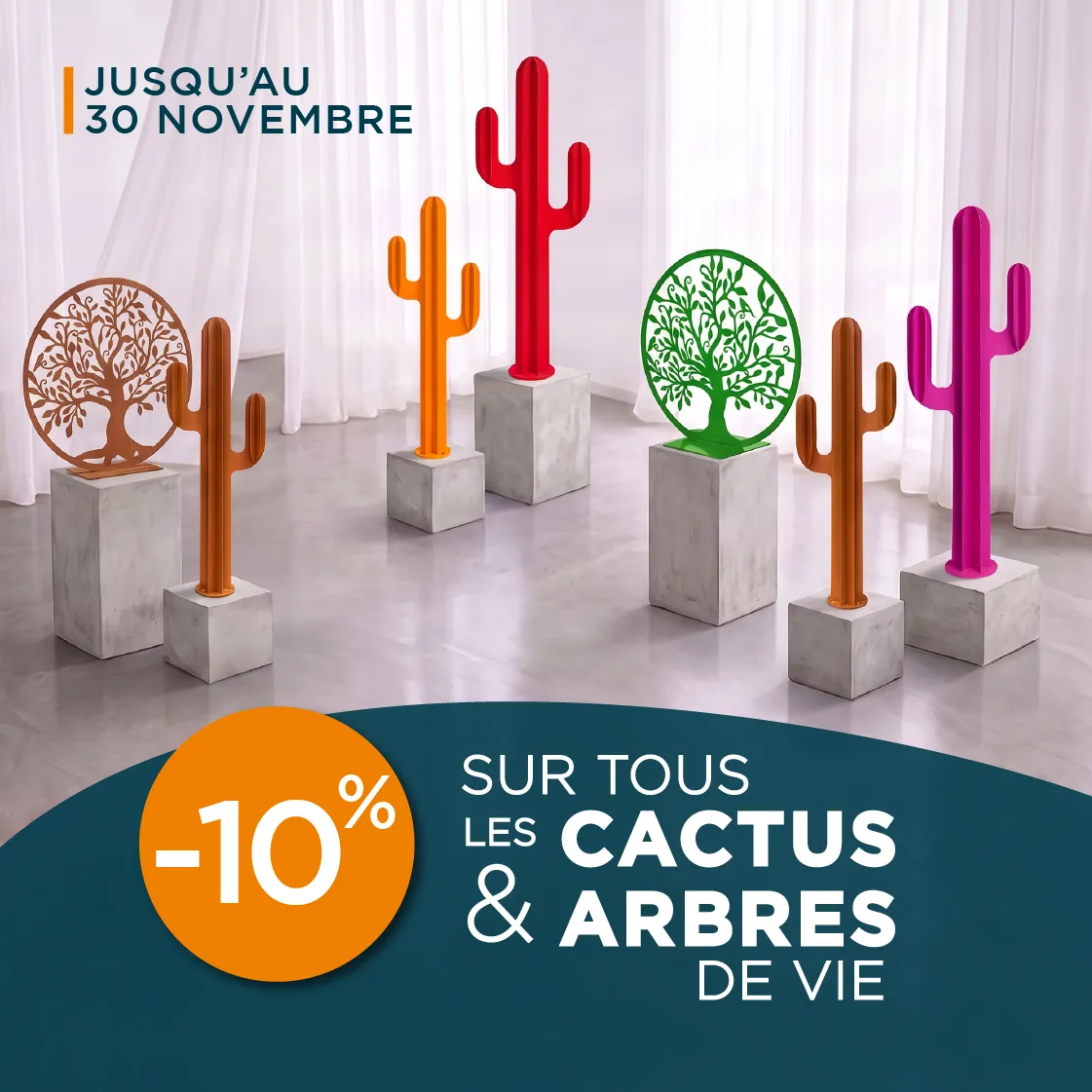 Promo cactus
